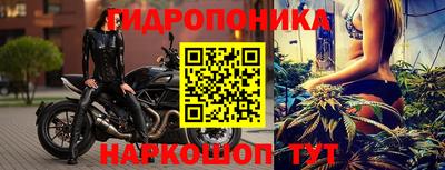 дурь Можга