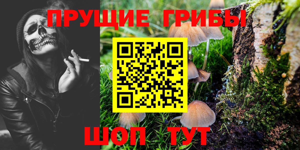 Тавда  Галлюциногенные грибы мицелий  Вход с VPN 